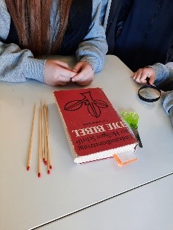 Bild1